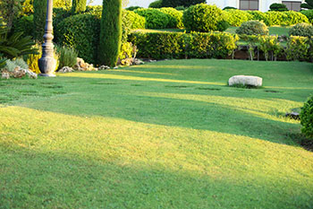 WideWater Lawn Care and landscaping